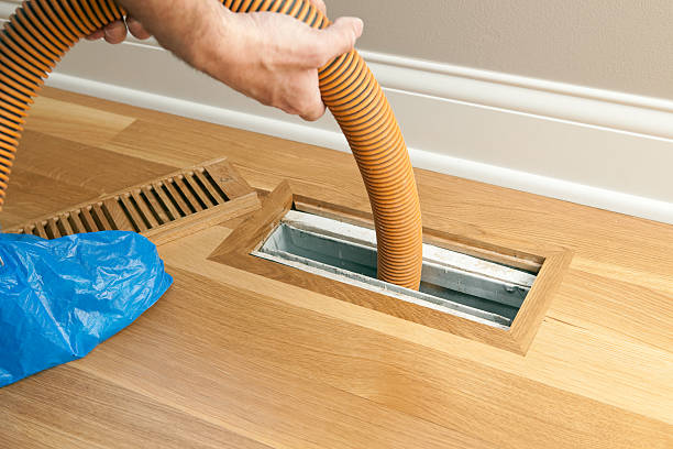 Best Professional Duct Cleaning Services  in Dyersburg, TN