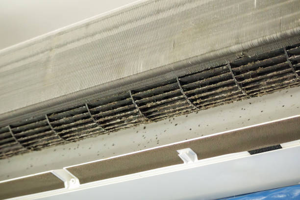 Best Best Air Duct Cleaning Company  in Dyersburg, TN